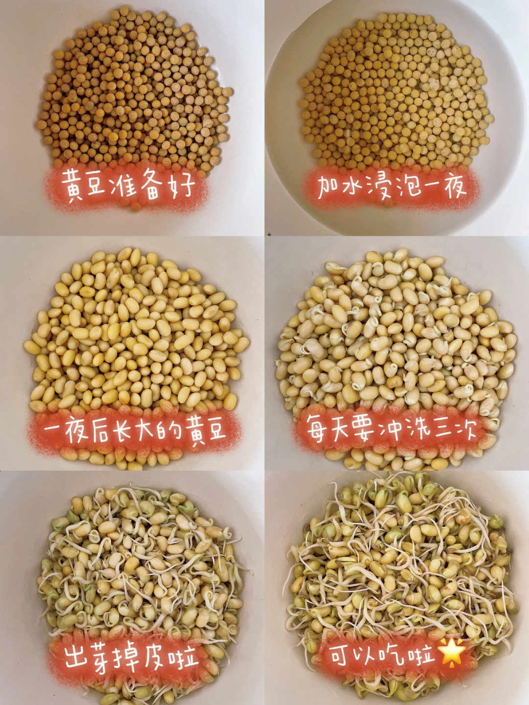 生豆芽过程图片4张图片