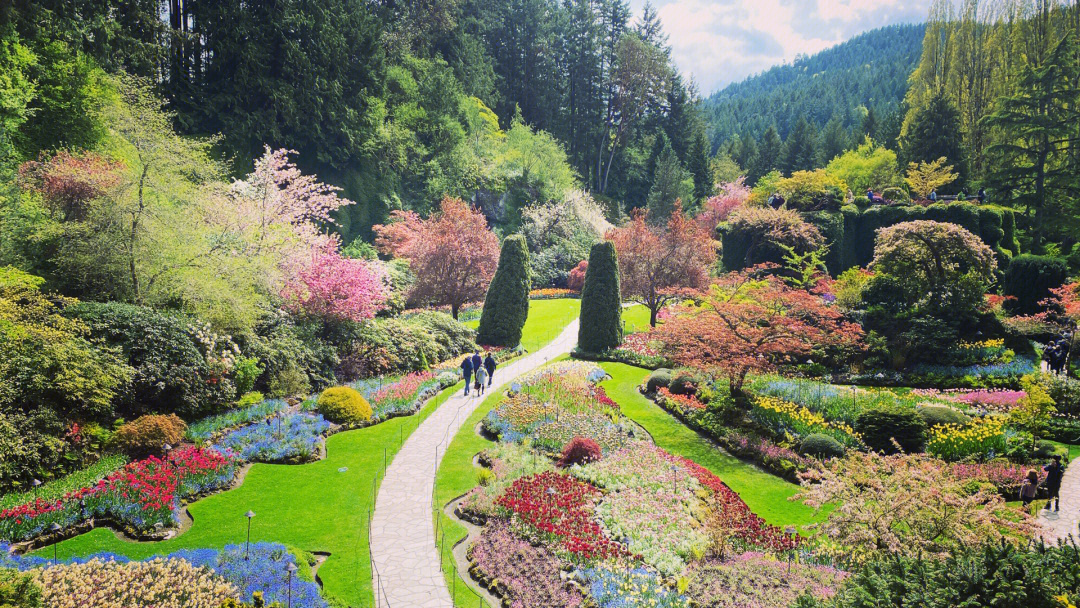 维多利亚布查特花园thebutchartgardens