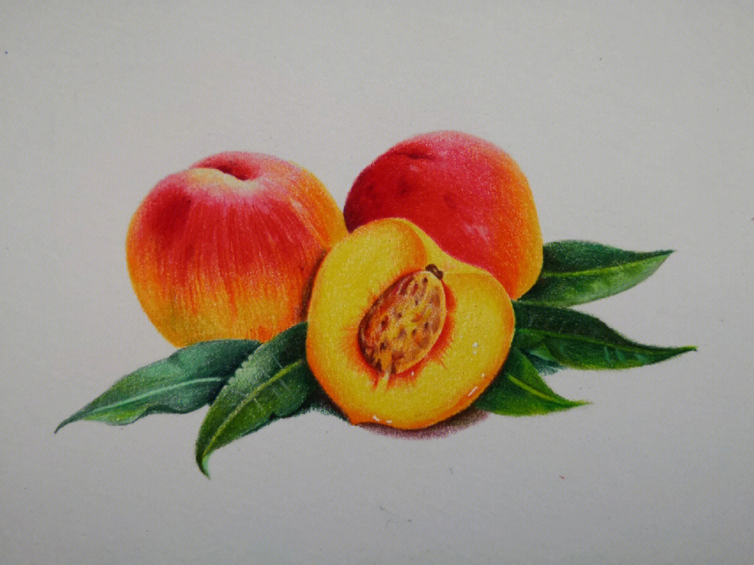 彩铅练习桃子