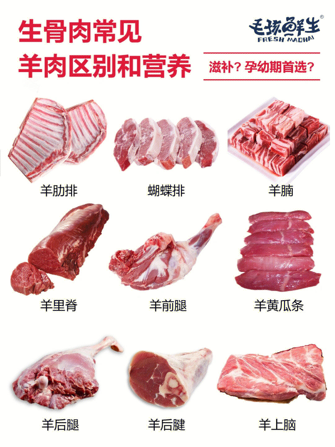 生骨肉常用羊肉区别一张图看懂不同部位