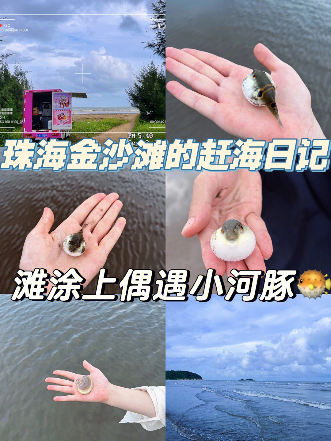 珠海金沙滩别墅事件图片