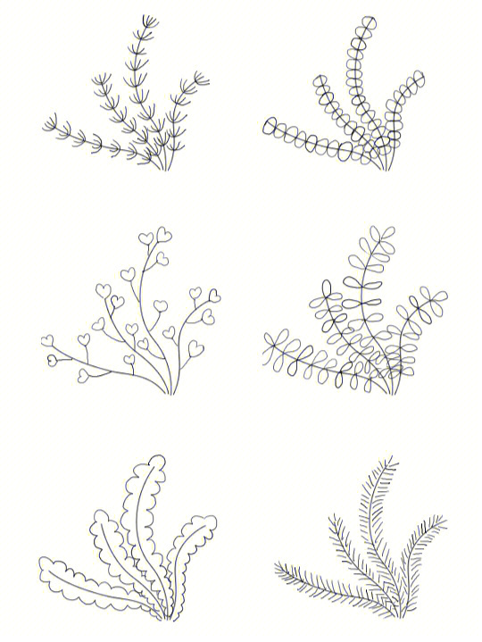 海藻的简单画法图片