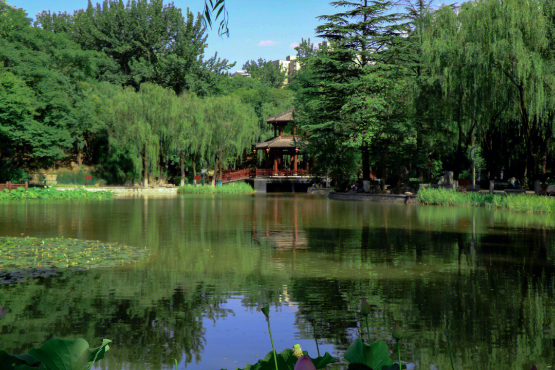 长乐公园风景图片
