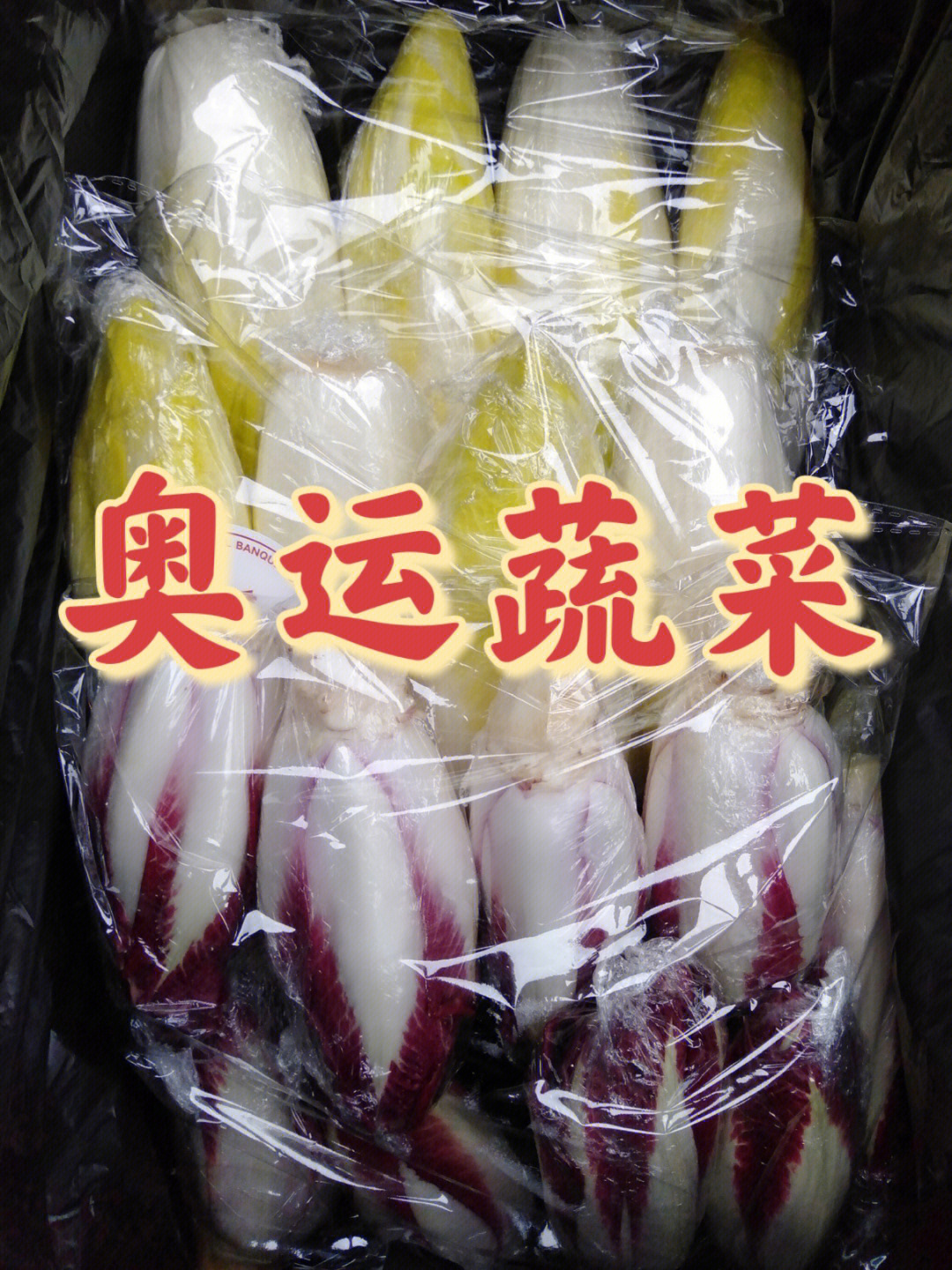菊苣纤维大健康产业图片