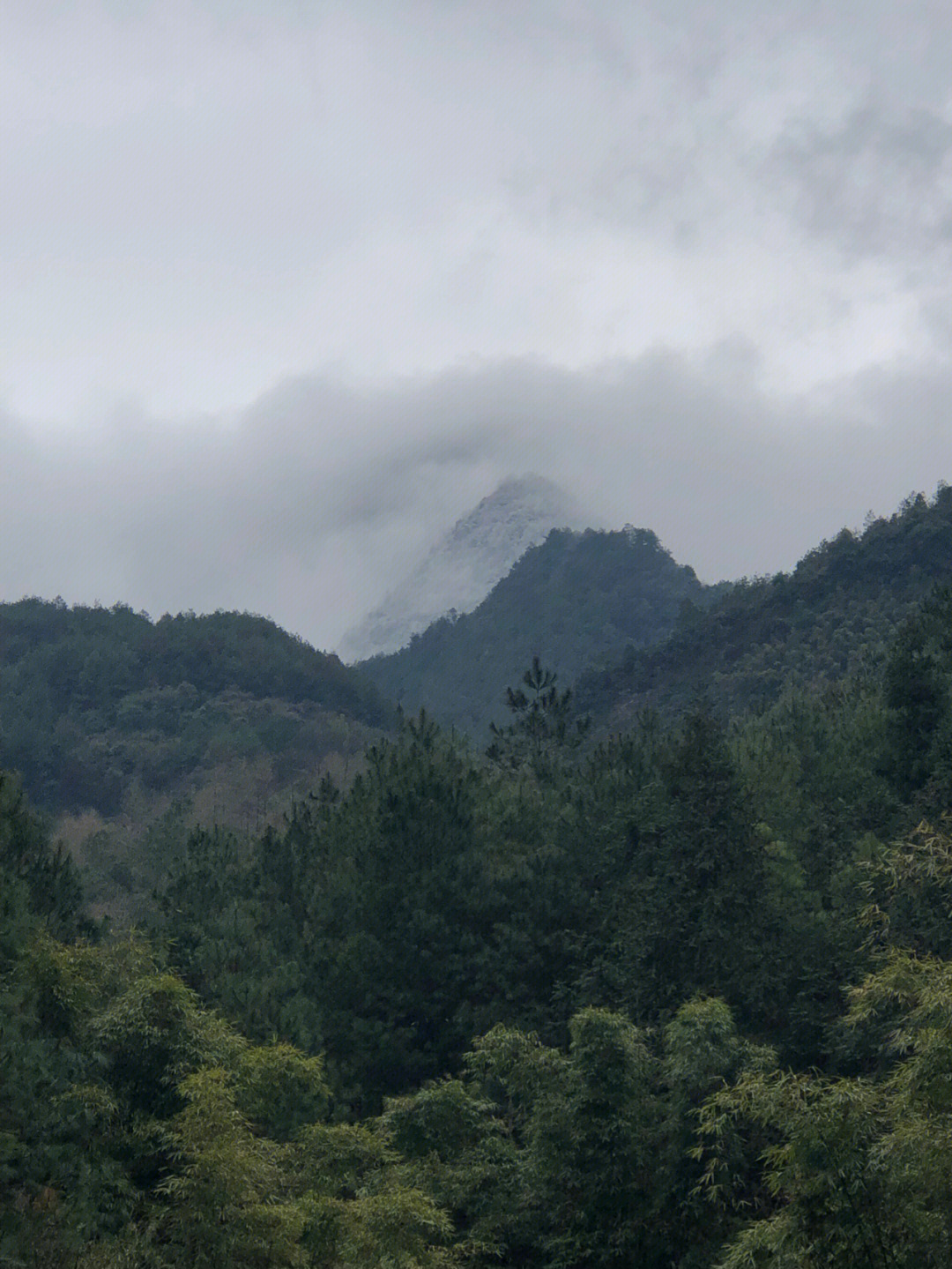 山外山人外人