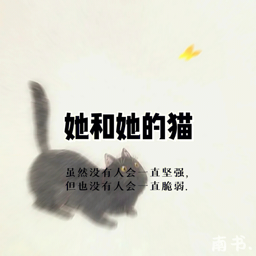 他和她的猫简介图片