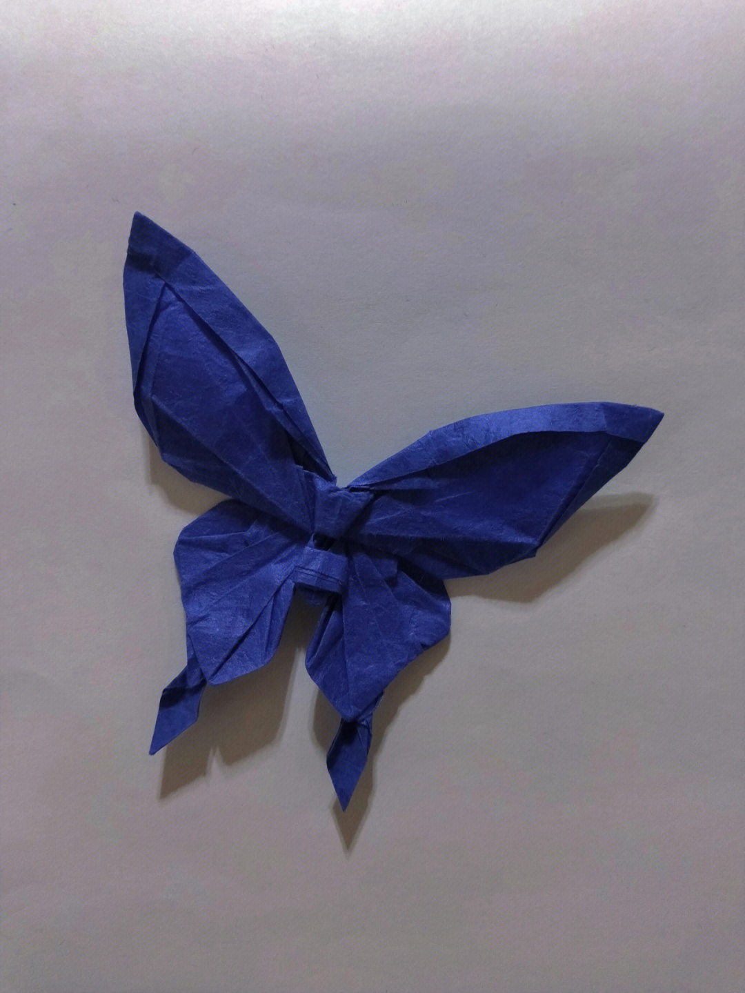 立体蝴蝶怎么折图解图片
