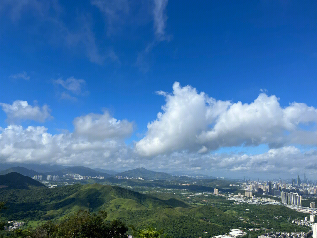 大小梧桐山图片