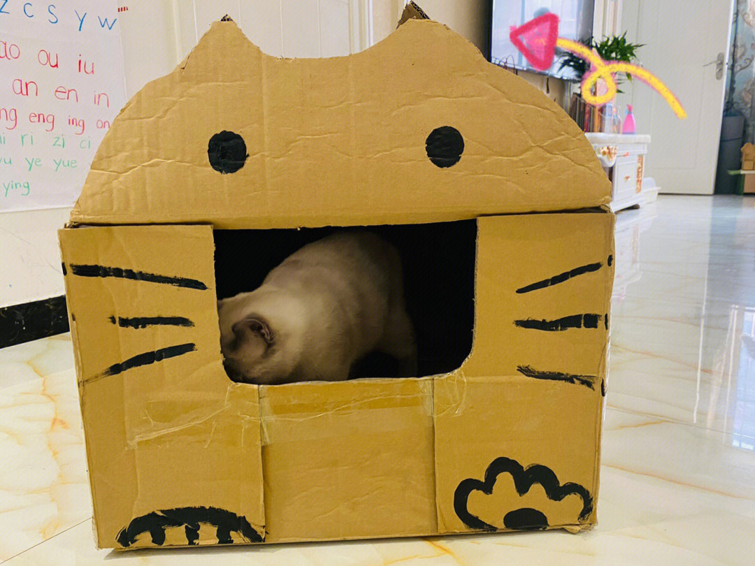 用纸箱做猫咪产房图解图片