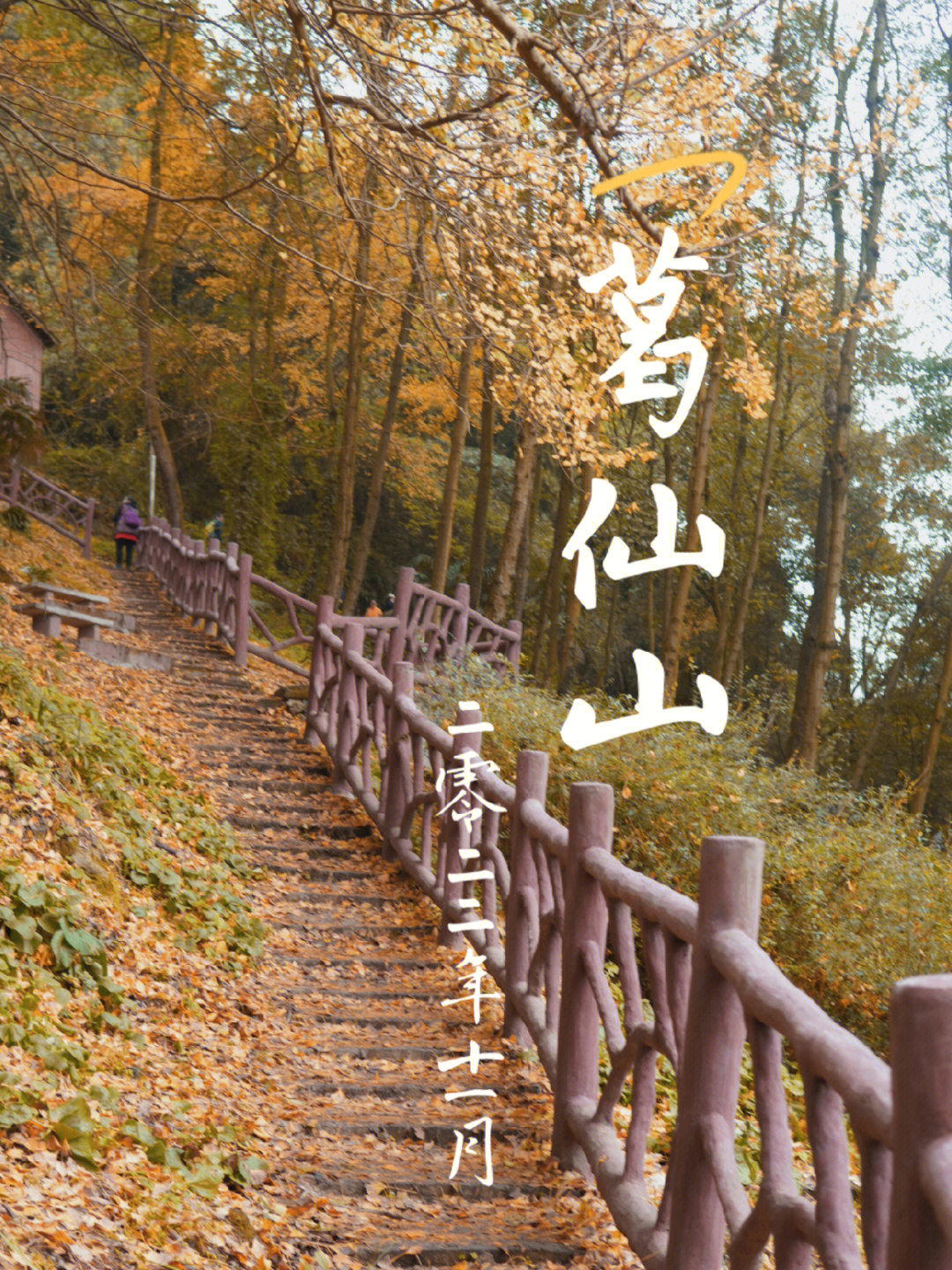 葛仙山风景区门票图片