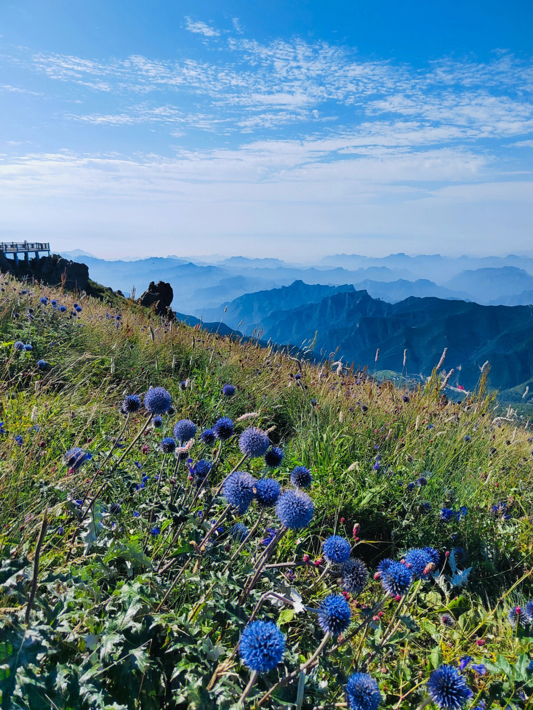 百草畔自然风景区图片