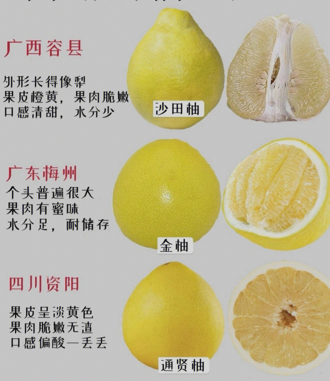 柚子的品种