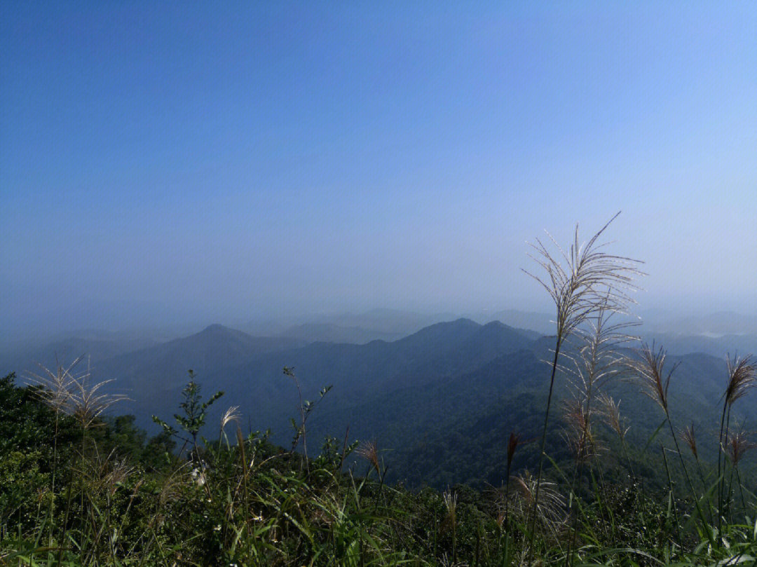 皂幕山景区电话图片