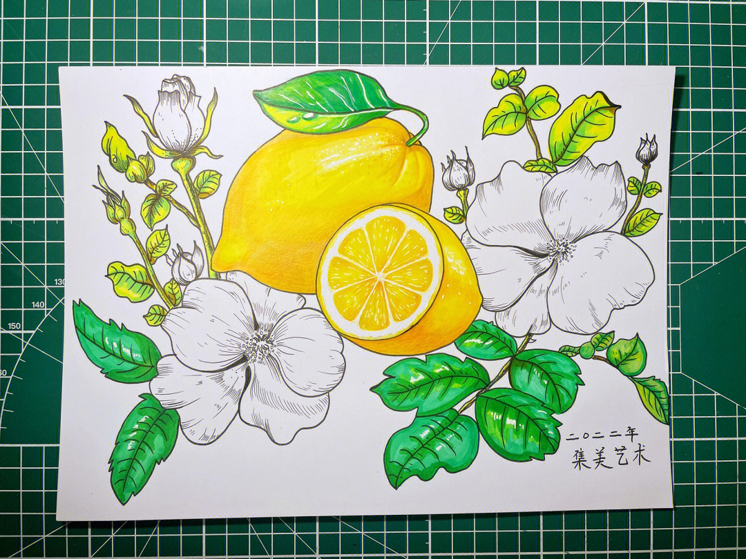 柠檬素描图片步骤图片