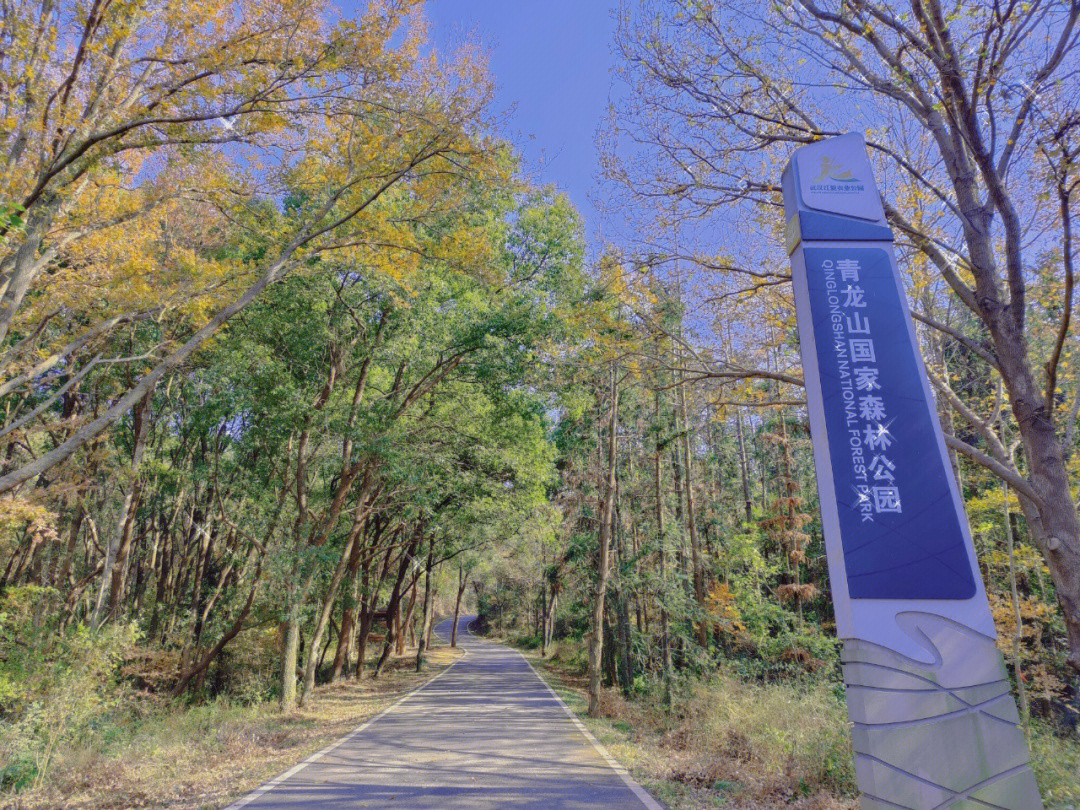 武汉森林公园游记图片