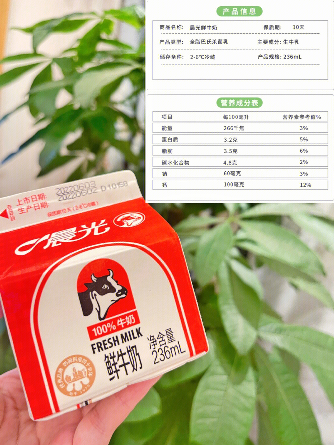 晨光甜牛奶配料表图片