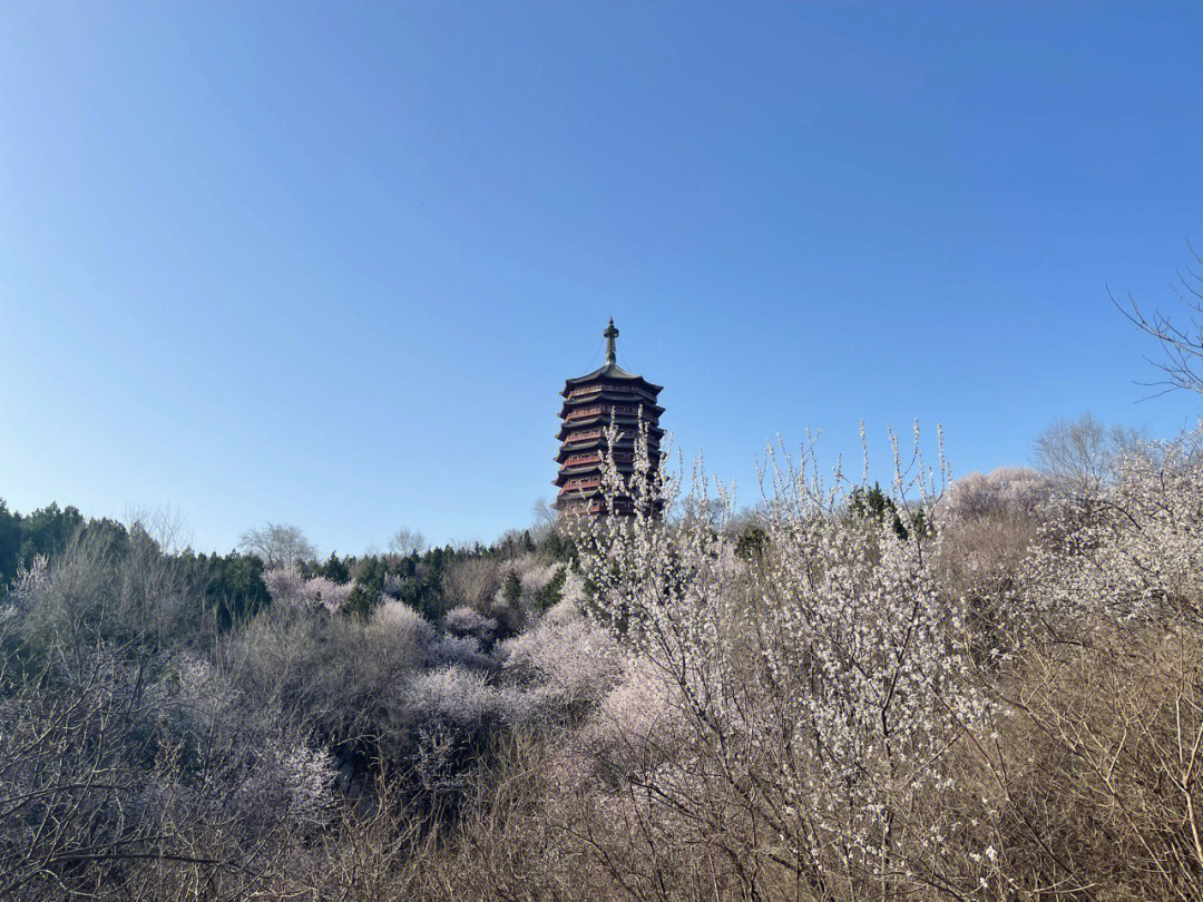 保定桃花沟风景区图片