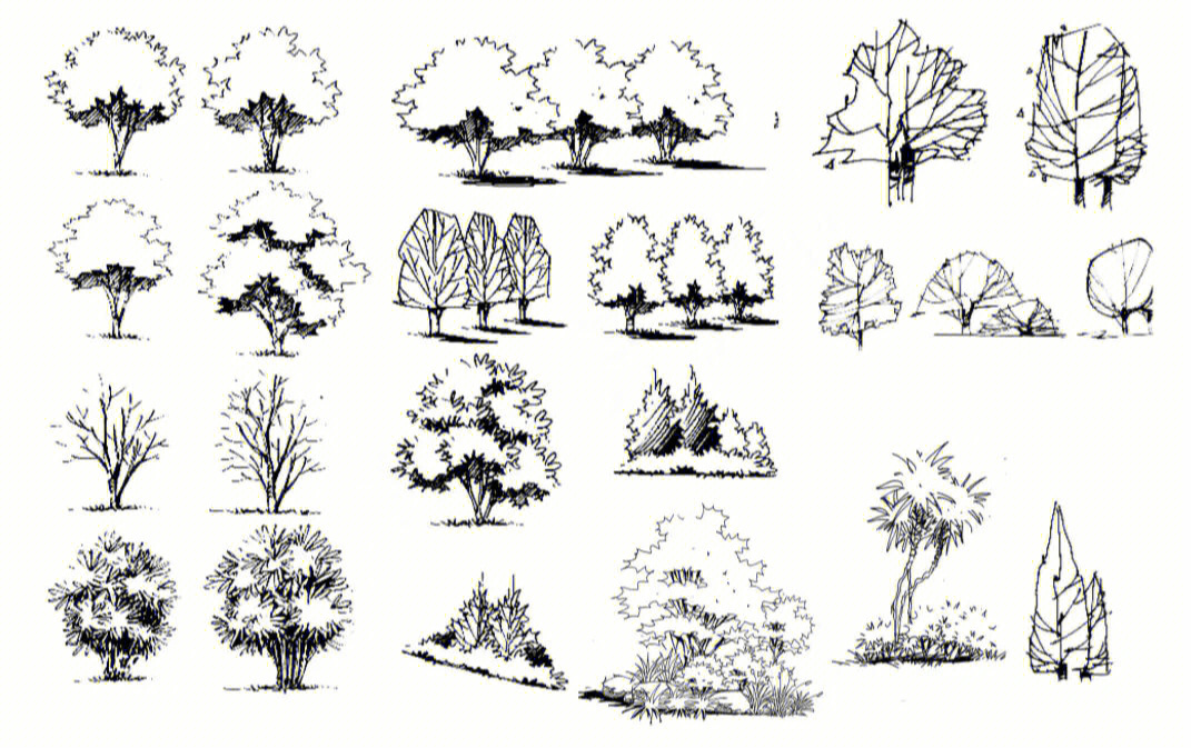 风景园林手绘考研快题线稿树木及剖面图分享