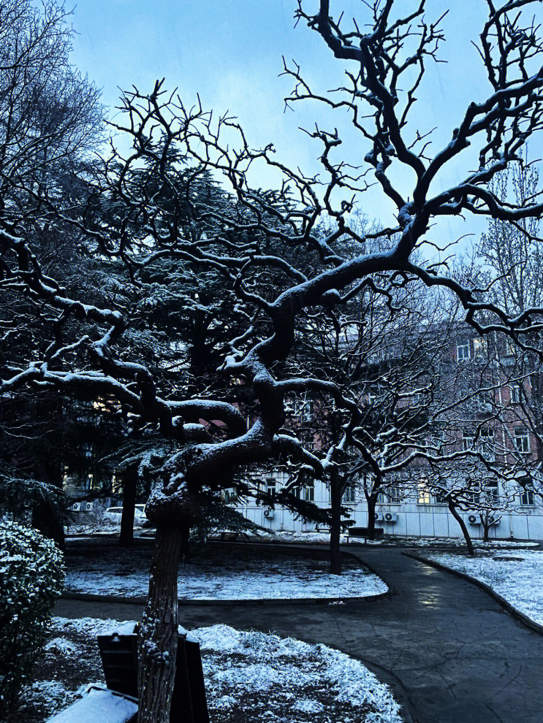 北京雪景