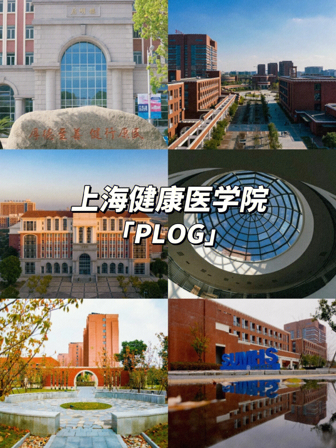 上海健康医学院图书馆图片
