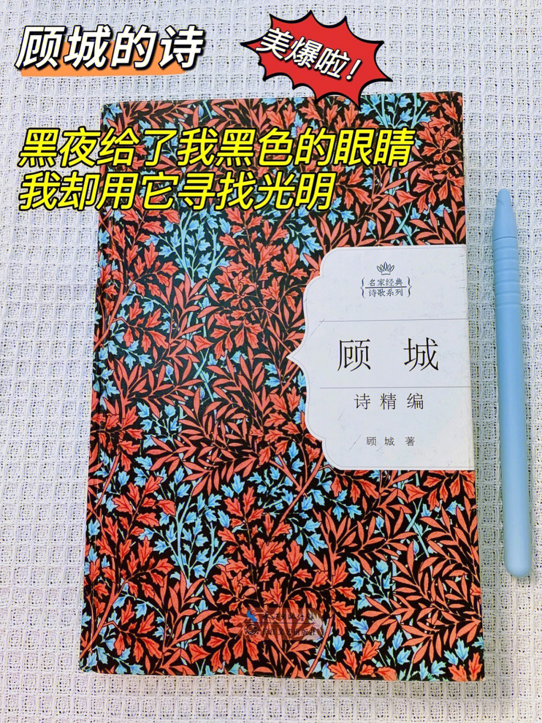 顾城的诗顾城的画目录图片