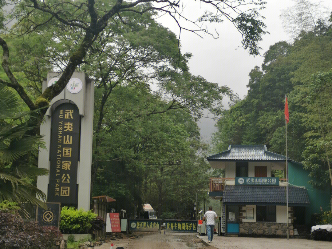 武夷山桐木村一日游图片