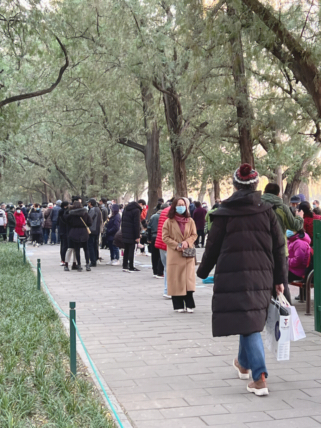 北京海淀公园相亲角图片