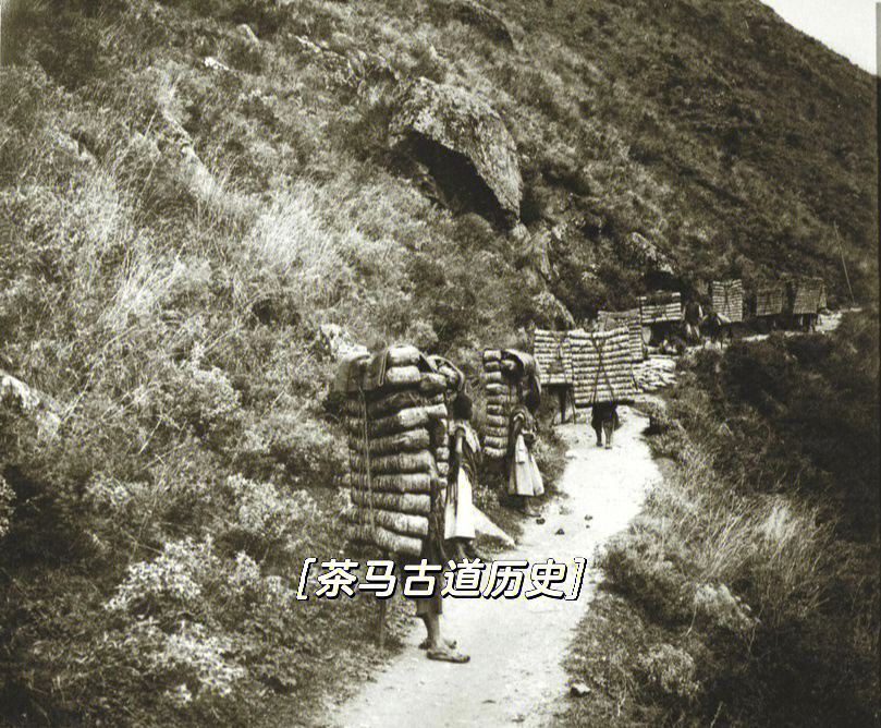 丽江茶马古道历史图片