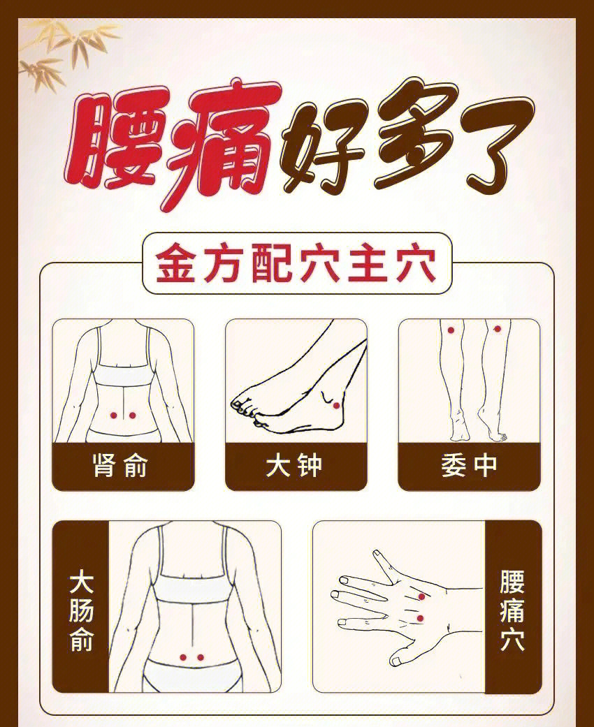 云竹老师图解腰痛艾灸