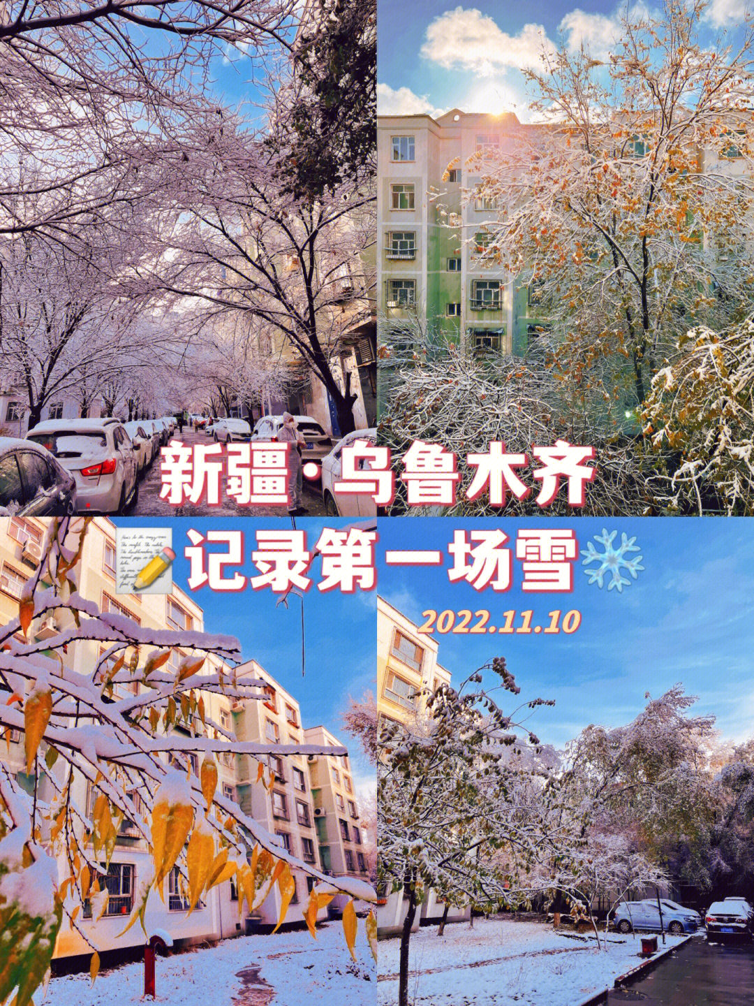 安静雪做解剖课图片