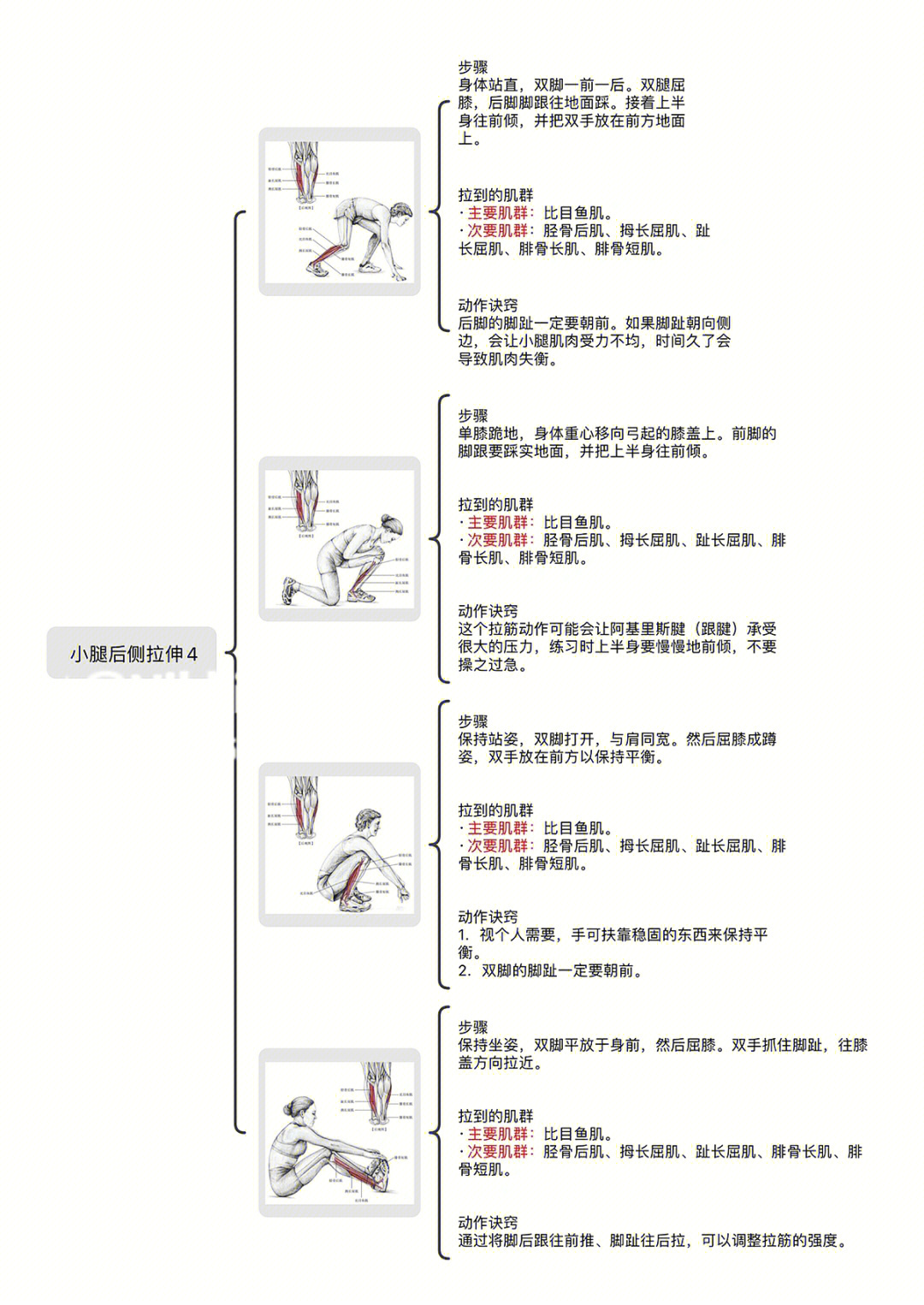 一组小腿后侧拉伸操瘦小腿4