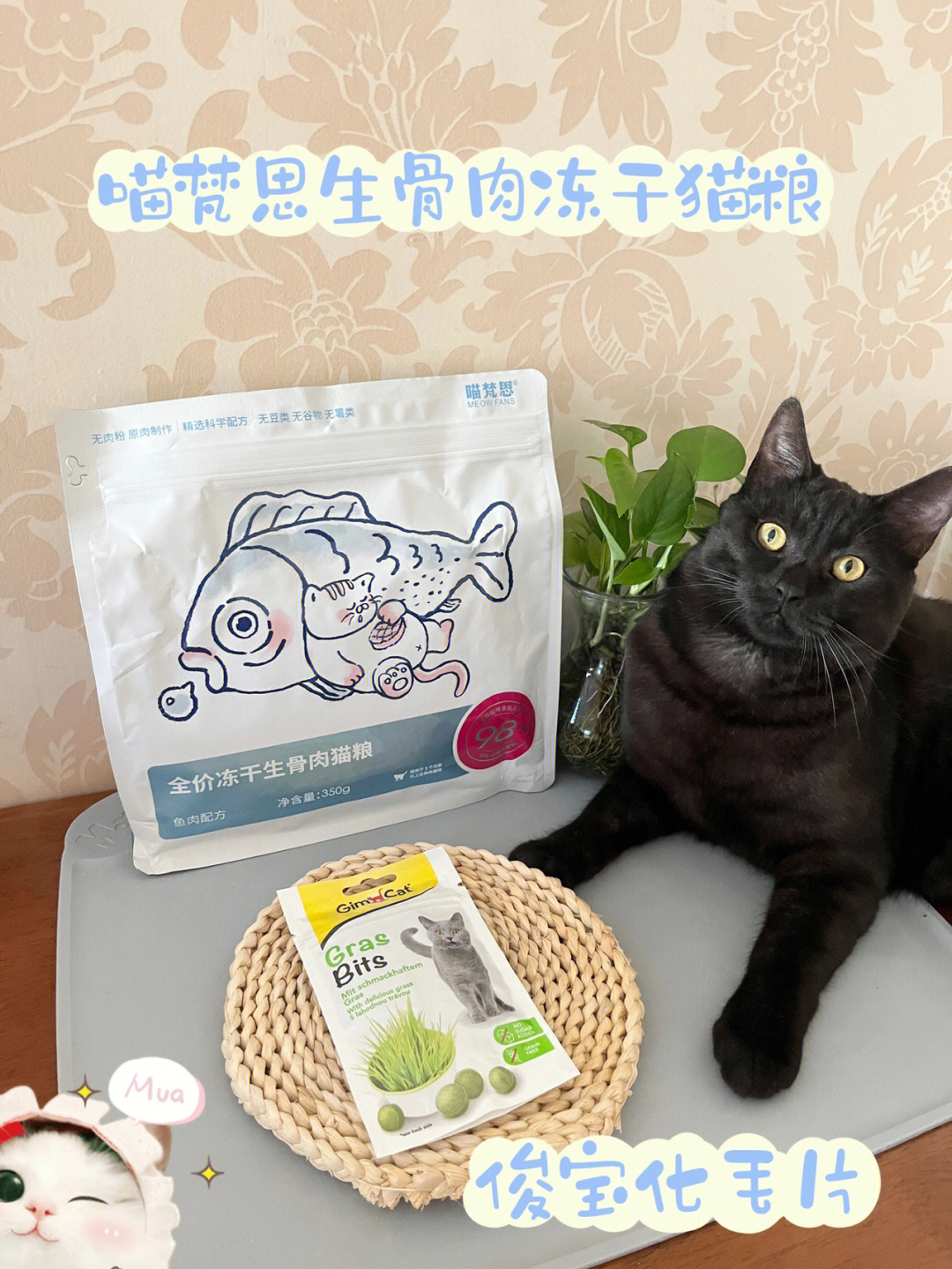 猫咪好物分享喵梵思生骨肉冻干俊宝化毛片