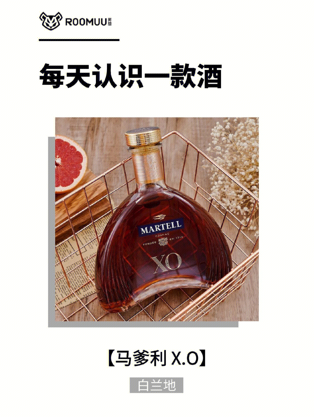 x.o酒价格图片