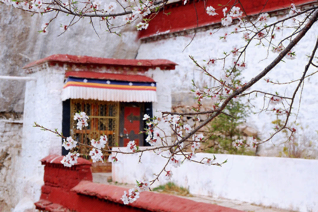 帕邦喀色拉寺