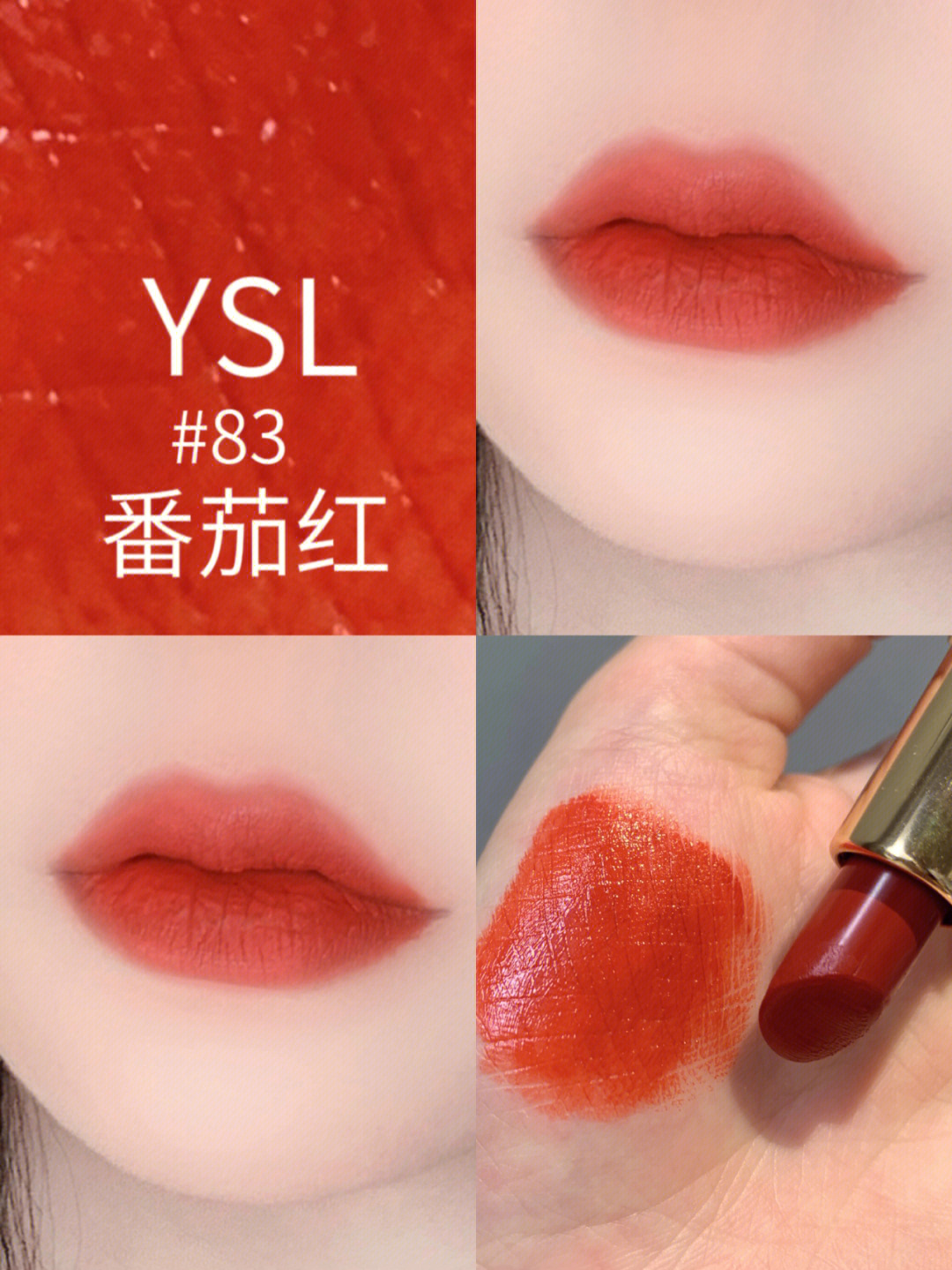 ysl经典番茄红