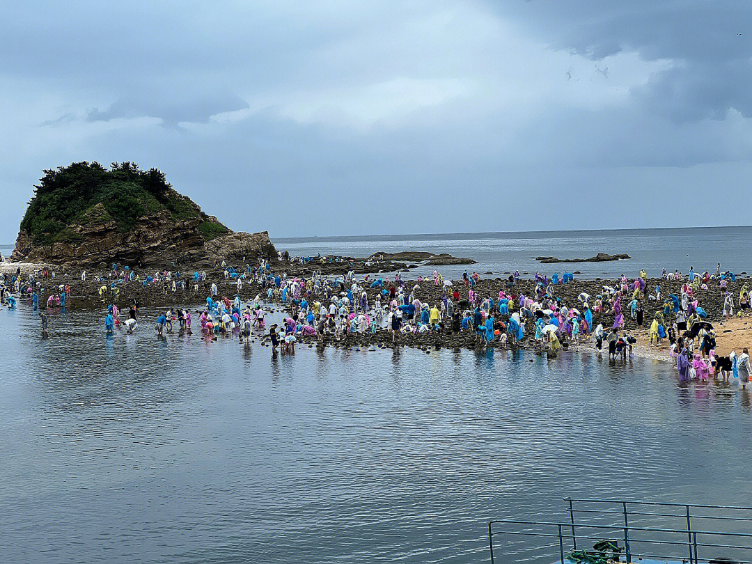 威海小石岛赶海公园图片