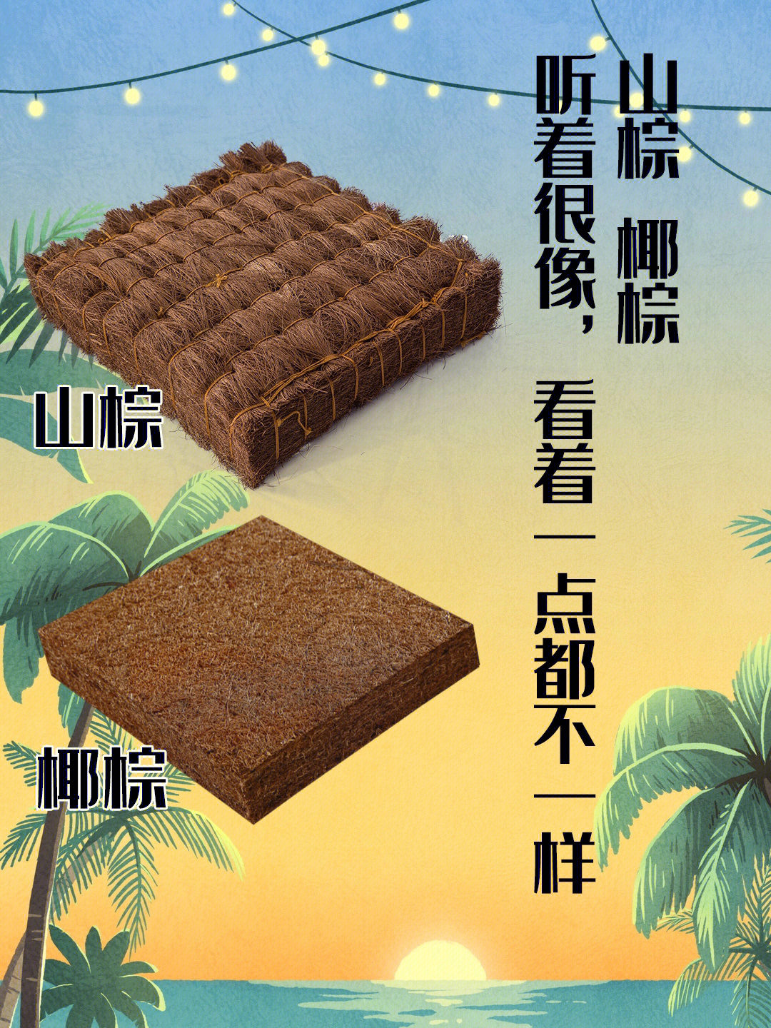 椰棕和山棕两种床垫的区别