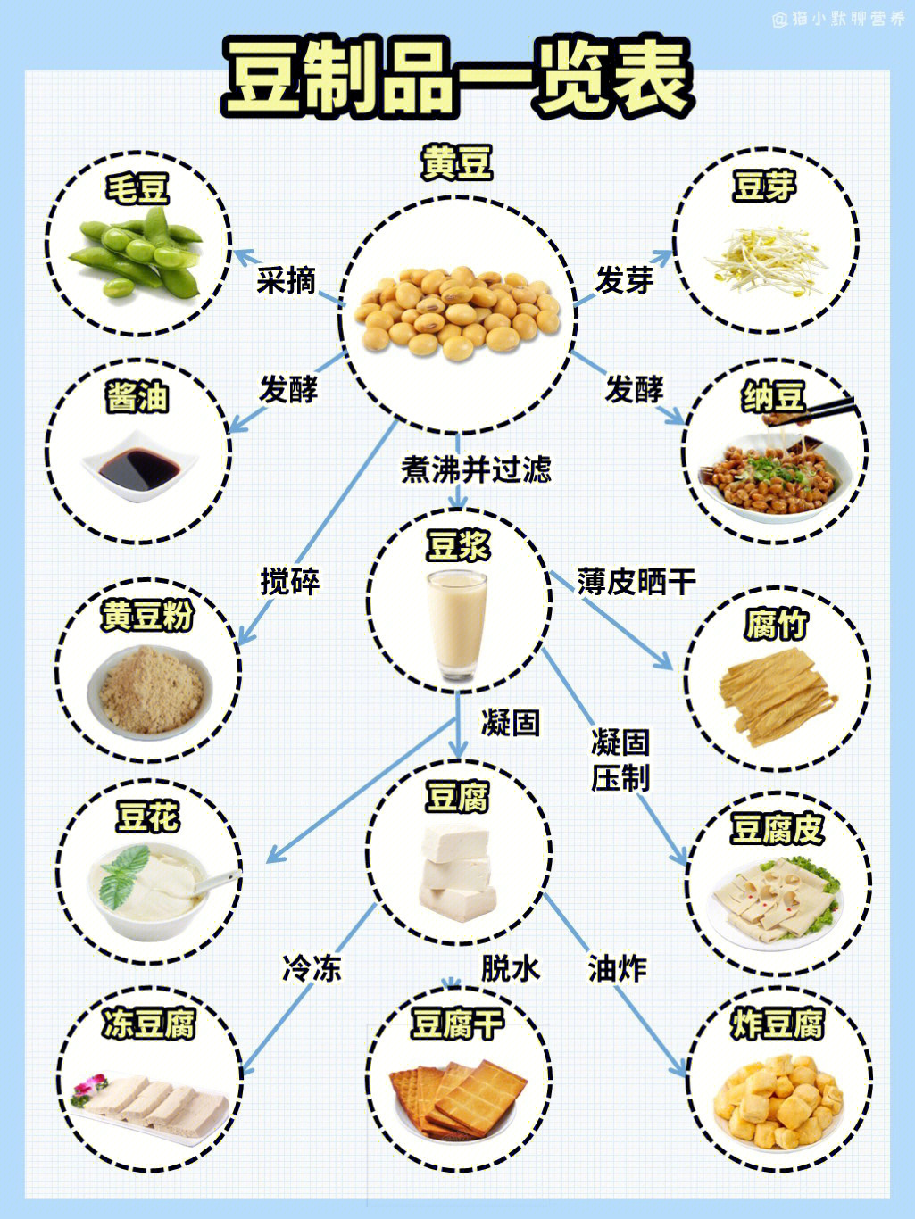 豆类大全名称一览表图片
