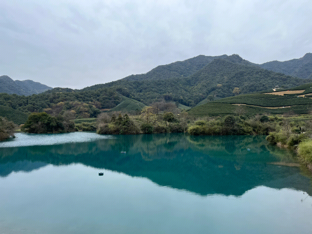 龙坞茶园光明寺水库