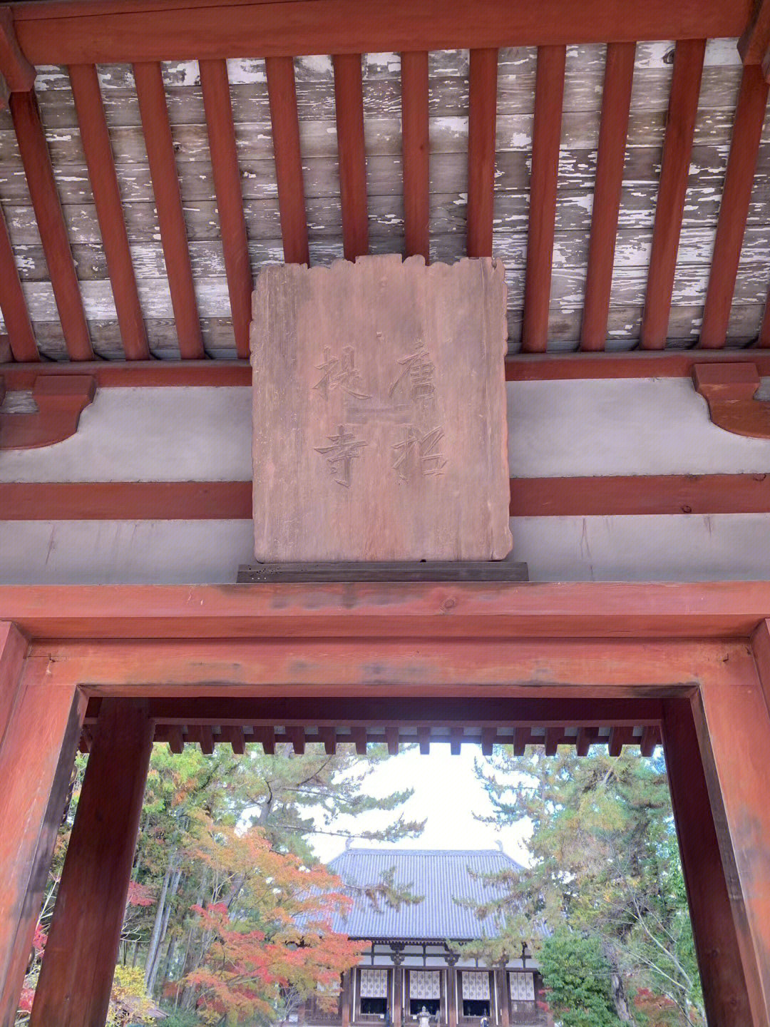 奈良唐招提寺,由唐高僧鉴真大师兴建,屹立千年不倒,成为日本的国宝