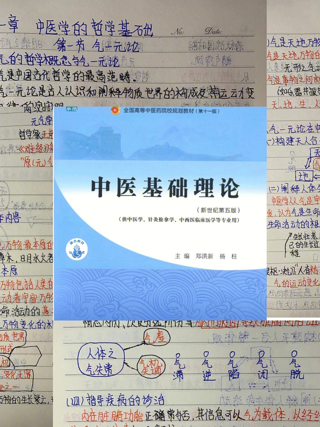 中医基础理论笔记166气一元论