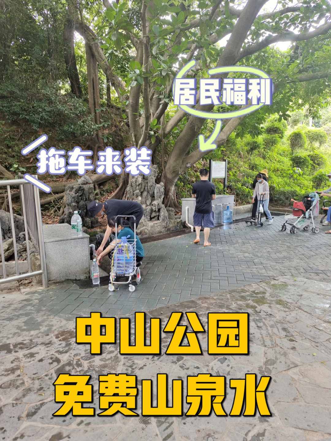 深圳中山公园免费山泉水,居民福利99