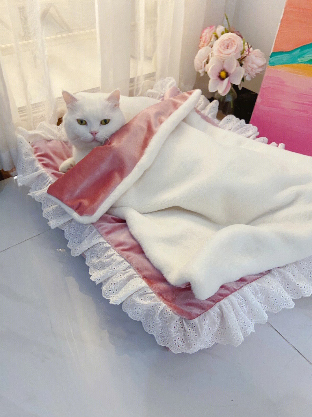 点点公主殿下白色公猫百搭粉色猫床03