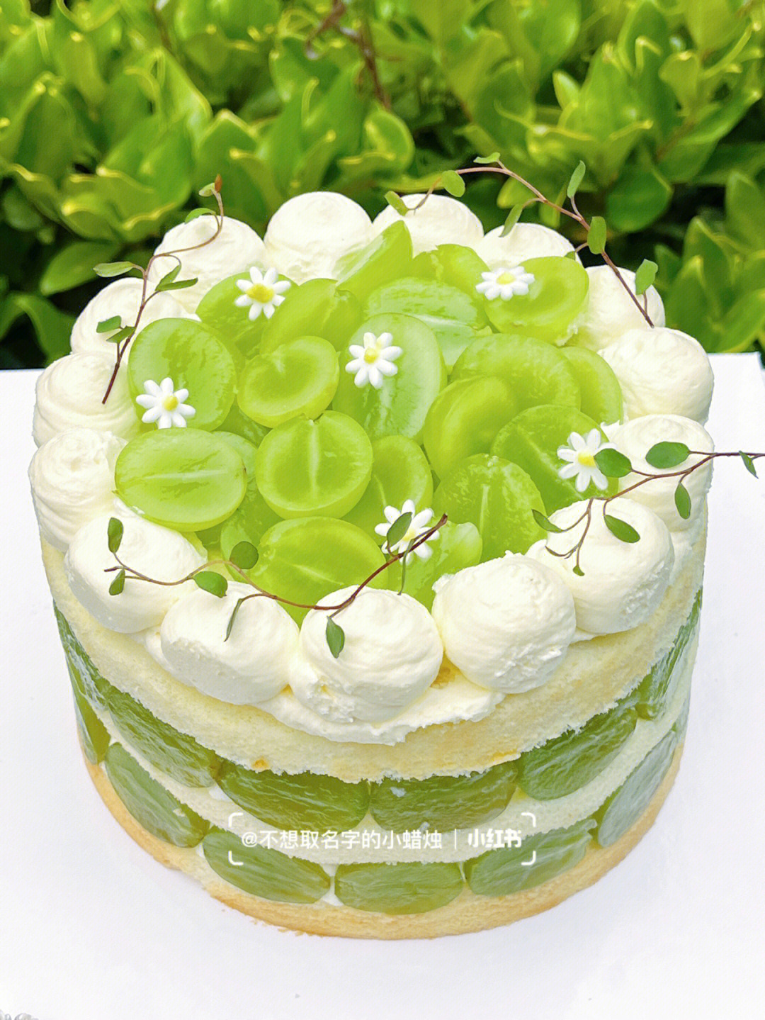 生日的bb们买蛋糕可以试试这款青提蛋糕呀满眼都是清新的绿色9191