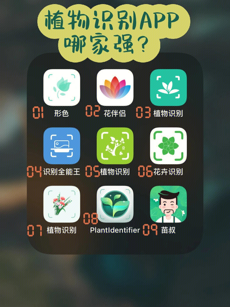 实测求一款比形色更强大的植物识别app