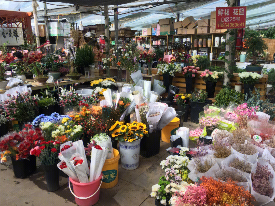 济南最大的花卉绿植市场周末打卡分享一下