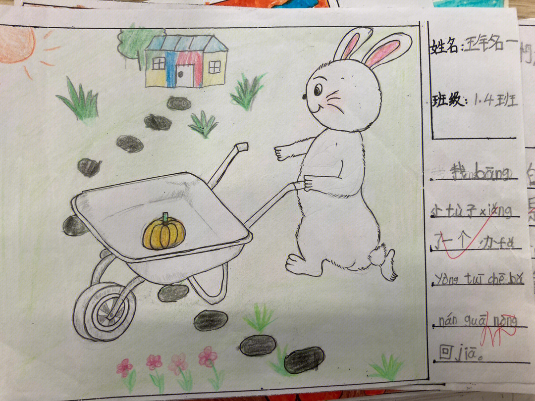 小兔子推车运南瓜图画图片
