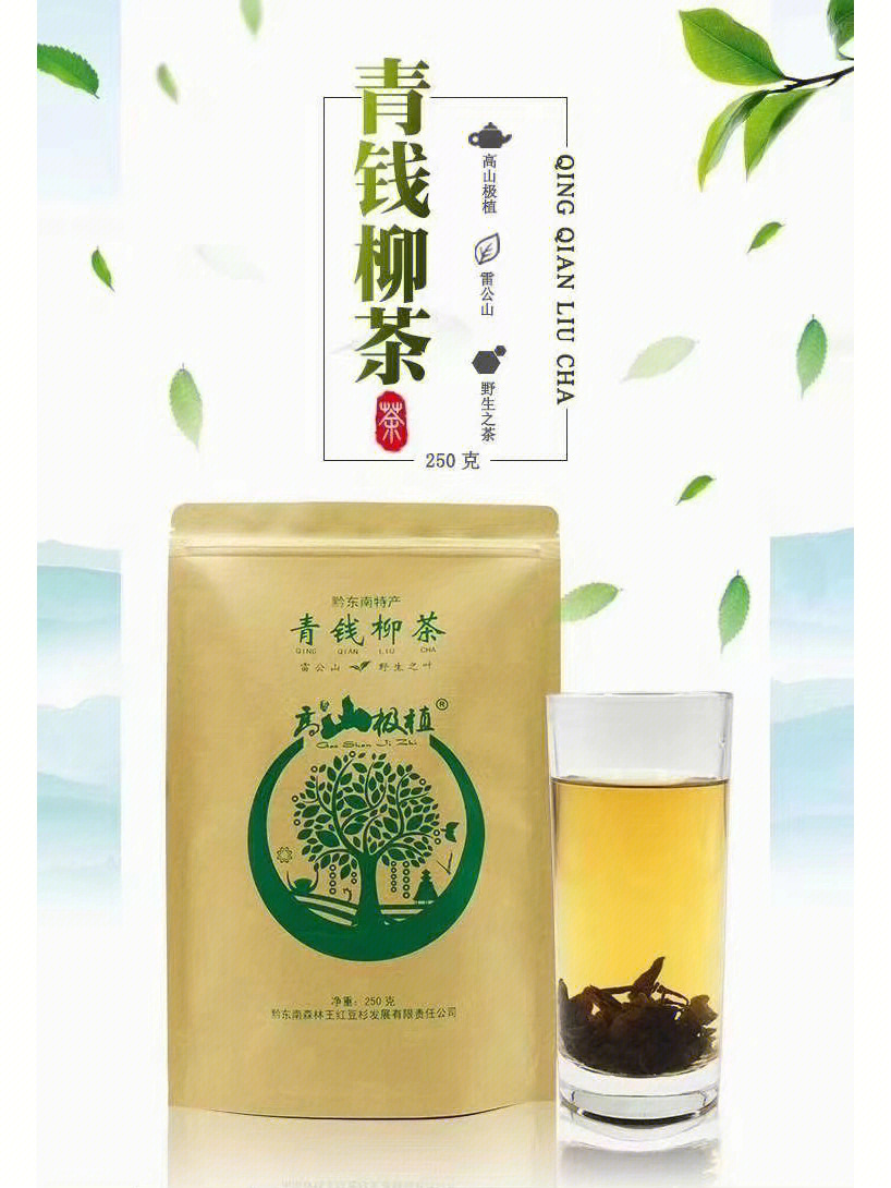 青钱柳茶广告图片