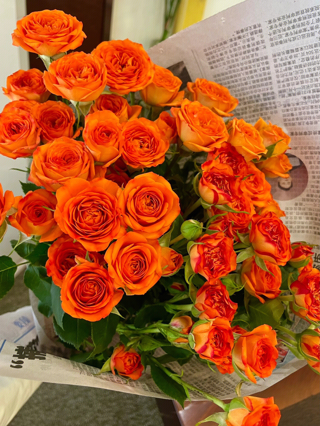 橙色多头玫瑰品种图片