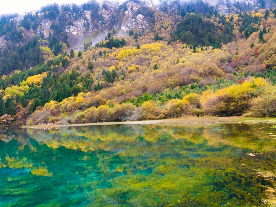 四川景点打卡九寨沟